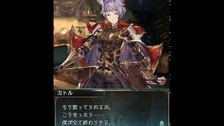 【グラブル】届かぬ刃【カトル最終解放前提フェイト】