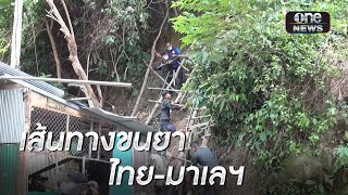 พบเส้นทางขนยาใช้ข้ามชายแดนไทย-มาเลเซีย | ข่าวเช้าช่องวัน | สำนักข่าววันนิวส์