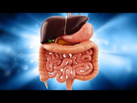 6 Simple Ways to Detox Your Body 6 Simple Ways to Detox Your Body