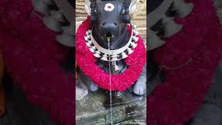 Nandi theertha temple. malleshwram . Bengaluru.