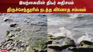 Thiruchendur Murugan Temple | இயற்கையின் திடீர் அதிசயம் - திருச்செந்தூரில் நடத்த வினோத சம்பவம்