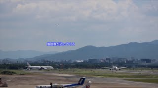 【凄いぞ福岡空港】離陸着陸！後ろが見える！ANA787-9国内線仕様が大集合！