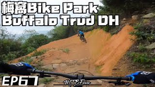 梅窩越野單車公園 - 水牛徑 落山   (Mui Wo Mountain Bike Park - Buffalo Trud DH Trail)