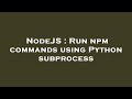 NodeJS : Run npm commands using Python subprocess