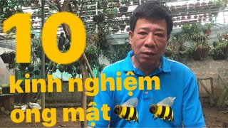 10 kinh nghiệm nuôi ong mật video số 13