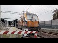 siemens vectron 2x rp1 gama w tle