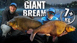 Gábor Döme – Gigantic Common Bream with Method Feeder from Scandinavia