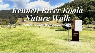 [4K] Kennett River Nature Walk - Koalas - Walking Tour - Great Ocean Road - Victoria, Australia