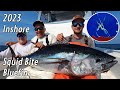 2023 NJ Inshore Squid Bite Bluefin | How To Catch Them