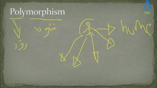 Java Object Oriented Programming 70 - What is Polymorphism in Java and its types