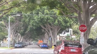 Southland Drive: Culver City residential drive in a Lincoln Town Car