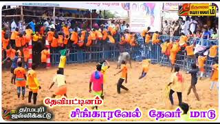 Jallikattu (Devipattinam)