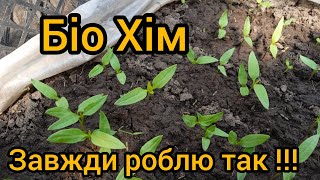 Біо Хім . завжди роблю так !!! захист розсади та грунту.