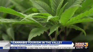 Cannabis Tourism blooms in the Coachella Valley amid federal rescheduling discussions