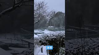 激寒積雪の里山