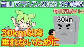 【富山マラソン2023 毎日3分解説 #14】30km以降垂れないためにどうするか？30kmの壁対策【Toyama Marathon 2023】