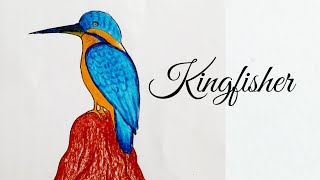 How to draw kingfisher step by step. মাছরাঙা আঁকার সহজ উপায়।