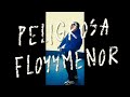 Floyymenor -peligrosa .EL FILTRAOR