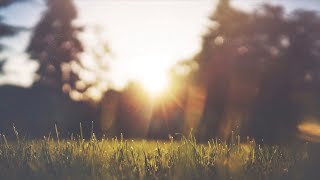 Soft Relaxing Guitar Music Instrumental Acoustic 10 Hours