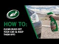 How To Clean Bugs off Your Car and Keep Them Off