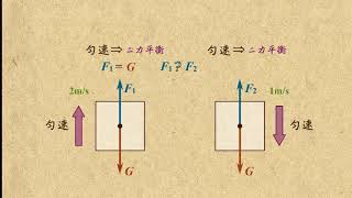 07二力平衡的计算  运动和力  中学物理