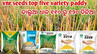 vnr seeds top five variety / vnr2111 /bheem 115 / vnr2233 /vnr 2228 /vnr2318  (ଡାଲୁଆ ଧାନ 2024-25 )