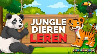 Jungle Dieren Leren Nederlands🐼 | Leer Jouw Kind Alle Dieren! | NL ✅