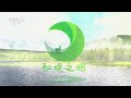 《秘境之眼》 眼纹噪鹛 20230509 cctv