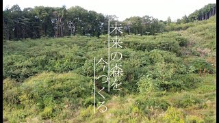 未来の森を今つくる（荒刈り、地ごしらえ編）