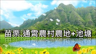 （暫停銷售）苗栗農村居.農+房+池塘#苗栗通霄/有農地/有池塘/有房子/水電齊/休閒/養生