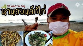 หาหอยหลักไก่ |SD want to say