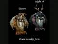 world of warcraft-all the druid forms world of warcraft-all the druid forms