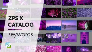 Catalog - Keywords