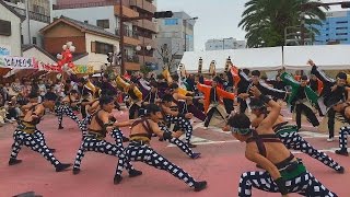 2016 10/8 心纏い 安濃津よさこい KOKOROMATOI in Anotsu YOSAKOI フェニックス会場 : Tsu Festival