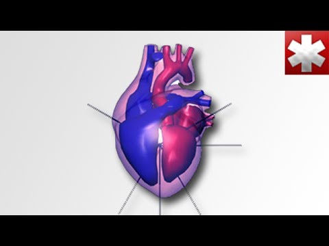 Medical Tutorials By Acadoodle Youtube