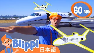 ひこうきを見に行こう | ブリッピ 日本語 - 幼児向け教育動画 Blippi