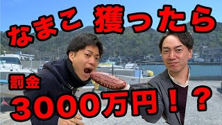 【漁業法改正】特定水産動植物（なまこ、あわびetc）密漁したら大変なことに…