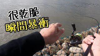 喜歡這樣的潮水跟釣組  在超級觀光場也不會打龜