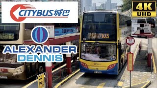 [Citybus: 103 Chuk Yuen to Pokfield Road via Bonham Road] Alexander Dennis Enviro500MMC(9114/SD6766)