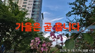 2024.0919.가을은 분명히 옵니다.