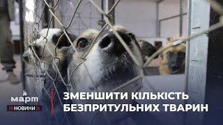 🐾 Ситуація з БЕЗПРИТУЛЬНИМИ ТВАРИНАМИ: як міська влада вирішуватиме цю проблему