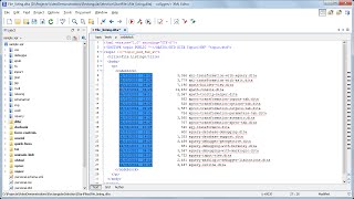 Rectangular Selection in Oxygen XML Editor 18