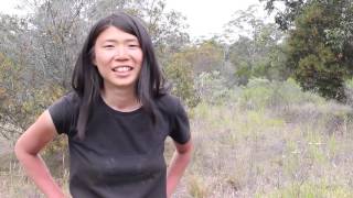 Well Grounded Earthship Marulan Week 1