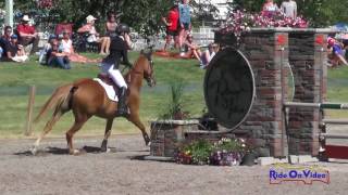 715S Maddie McElduff on Loughnatousa Caislean NAJYRC CCI1* Show Jumping Rebecca Farm July 2017