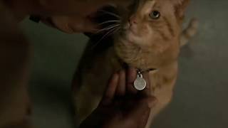 Nick Fury distracted by Goose the Cat