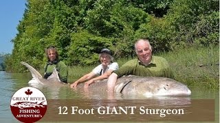 Great River Fishing: White Sturgeon Fishing in the Fraser River Canyon