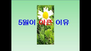 자작 시(오월이 아픈 이유)