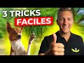 Education chien : 3 tricks à lui apprendre RAPIDEMENT