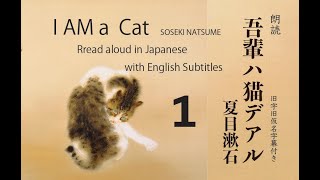 I AM a Cat   1   Soseki Natsume  Read Aloud in Japanese with  English Sub