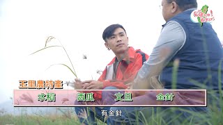 抵達台灣最大鎮-玉里，跟著朋友玩一天！|《嗨客嘶》EP21